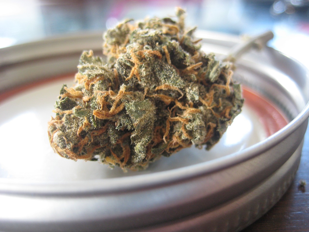 cbd oil